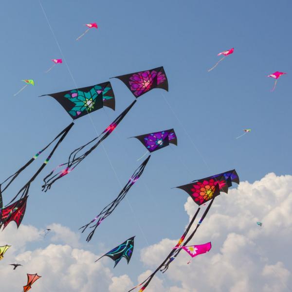 Image for event: Go Fly a Kite